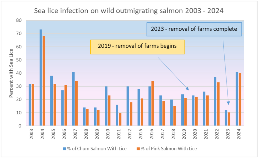 Graph of Sea Lice Infection on Wild Outmigrating Salmon 2003 - 2024